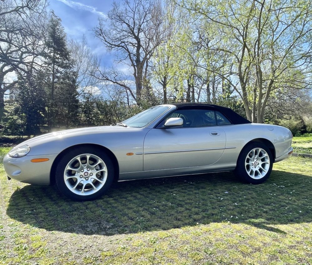 JAGUAR1